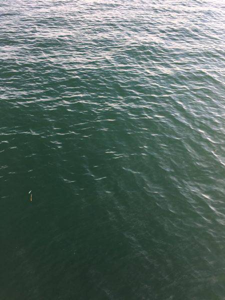 カマサーでゲット！