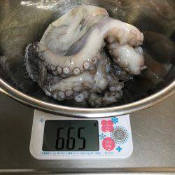 盆休み初日の釣果