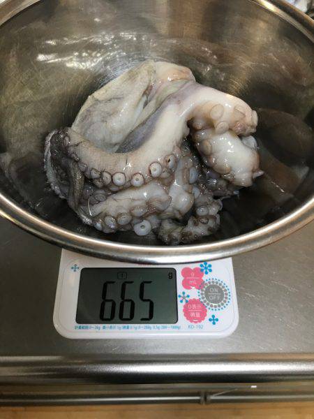 盆休み初日の釣果