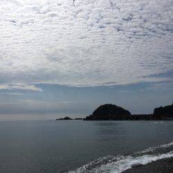 大里松原海岸 ダツゲー94cm