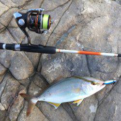 キャンプの合間に魚釣り