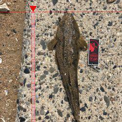 楠サーフDAY下げ