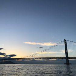 ミツヤ丸 落とし込みサビキ