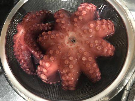 タコ釣り  明石  阪本丸