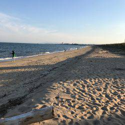 夕まずめにちょろっと楠サーフ