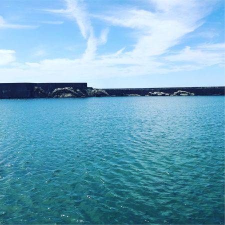 福井嶺北から常神半島までランガン新子調査