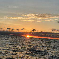 台風明けのイカメタル