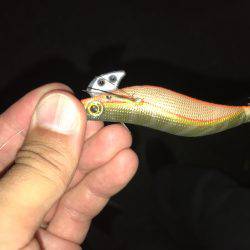 昨日と全然違う