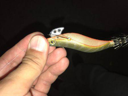 昨日と全然違う