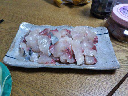 8月の海上釣堀オーパ!!シマアジ祭り