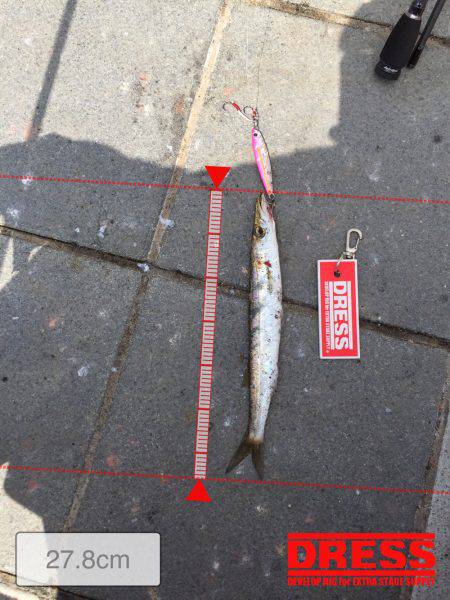 ライトショアジギング