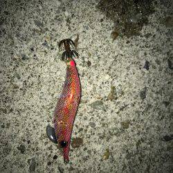 場所移動が正解