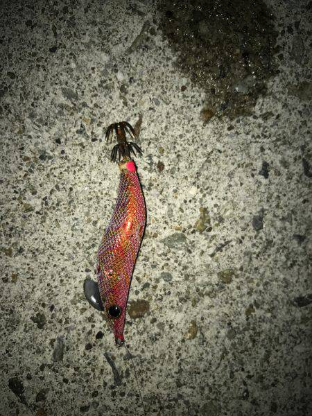 場所移動が正解