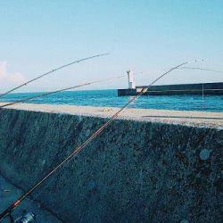 コブダイ釣りだったのに..