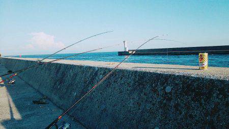 コブダイ釣りだったのに..