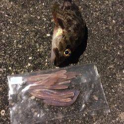 人混みを避ける。