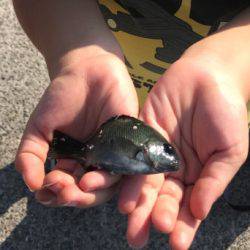 お気軽に五目釣り！