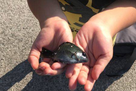 お気軽に五目釣り！