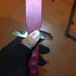 激ムズアジング