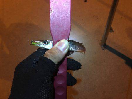 激ムズアジング