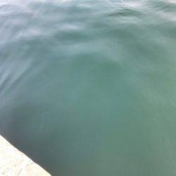 垂水一文字でオクトパッシング