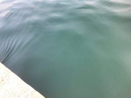 垂水一文字でオクトパッシング