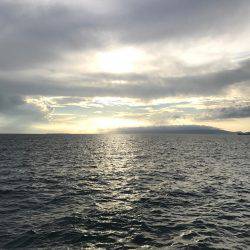 夕まずめ上げ潮釣行