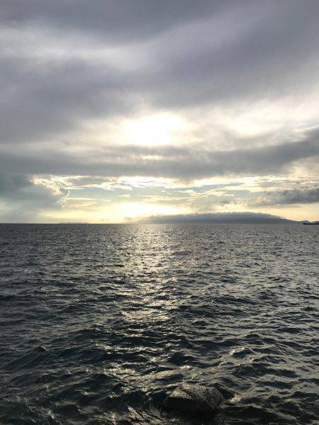 夕まずめ上げ潮釣行