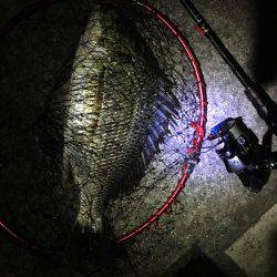 夕涼みチニング