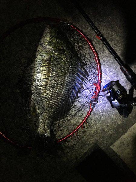 夕涼みチニング