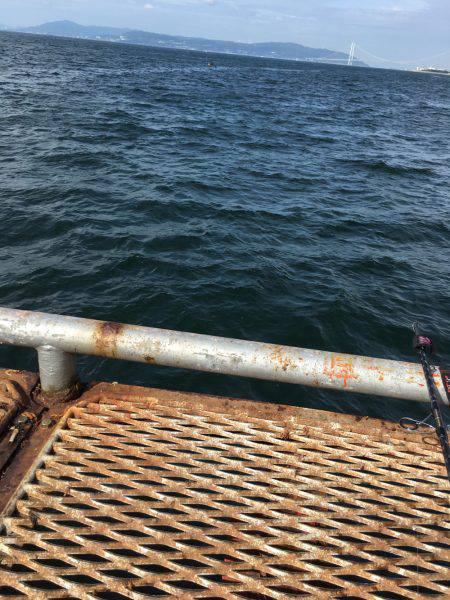 ハマチ?ハマチ!ハマチ!