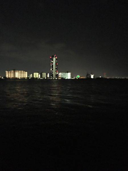 淀川ブリゲー パターン変化