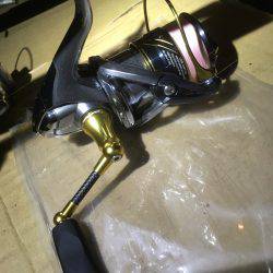 スッテで楽しむ！