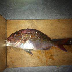 残炎惨敗からのウキスポン‼︎