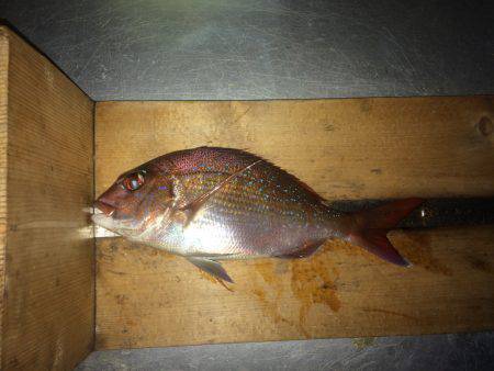 残炎惨敗からのウキスポン‼︎