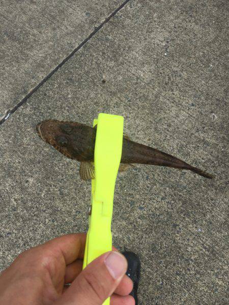 ライトジギングのちGTR