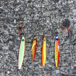 ショアジギ 3目？