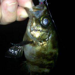 集会お開きのお知らせ