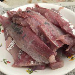 親切な方々のおかげで