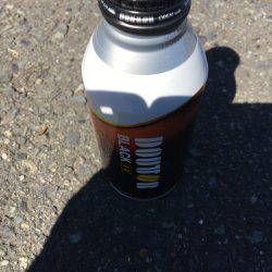 シーバスねらってブラックバス