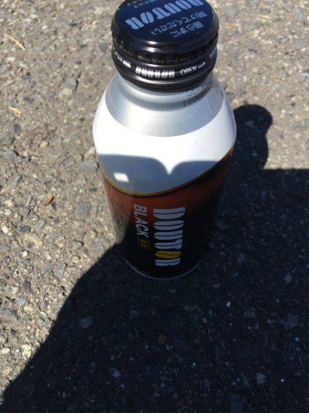 シーバスねらってブラックバス