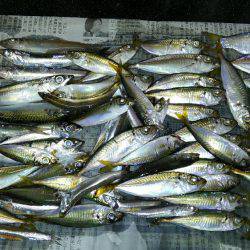 コスモスクエアにて