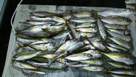 コスモスクエアにて