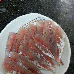 コスモスクエアサビキ釣り