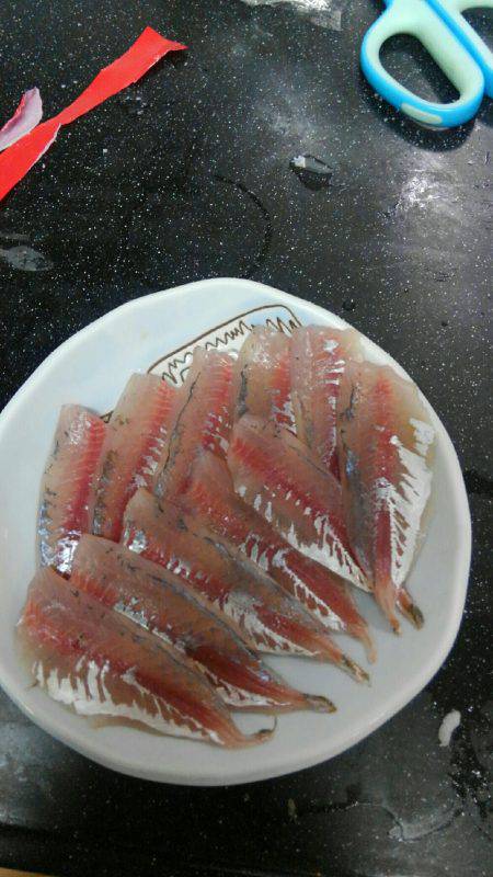 コスモスクエアサビキ釣り