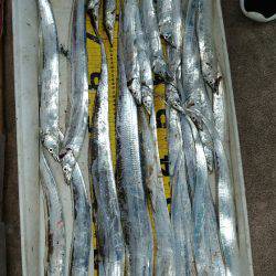 個人的夏タチ、いよいよ開幕できました！