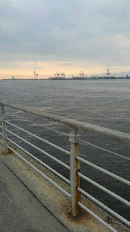 コスモスクエアサビキ釣り後半