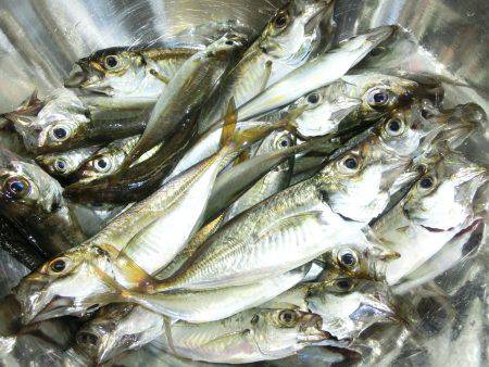 小アジの唐揚げが食べたーいっ‼