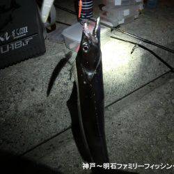 渋いなかでもまずまずかな