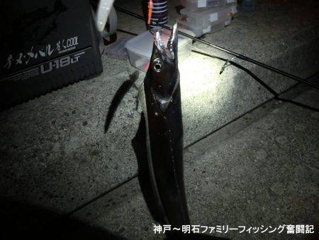 渋いなかでもまずまずかな